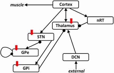 A Population Model of Deep Brain Stimulation in Movement Disorders From Circuits to Cells